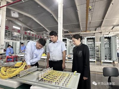 朱义宁到平顶山森源电气进行走访